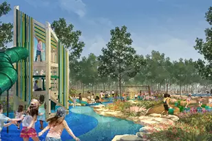 26432 N Wayland Chase, Magnolia, TX 77316 - Photo 12