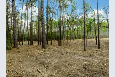 Lot 12 Mayhaw Lane, Plantersville, TX 77363 - Photo 2