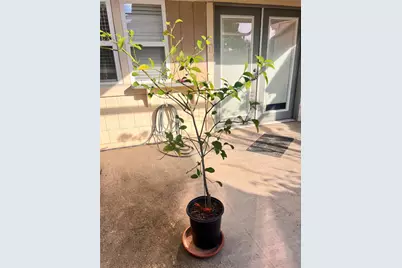 10831 Sandpiper Drive #188, Houston, TX 77096 - Photo 14