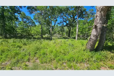 248 Middle Bayou Trail, Angleton, TX 77515 - Photo 12