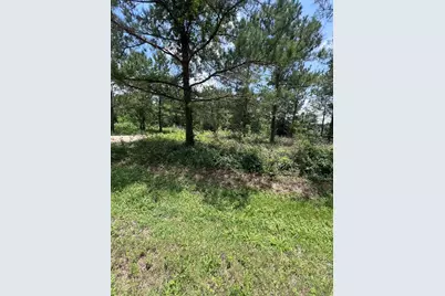 175 County Road 4873, Dayton, TX 77535 - Photo 2