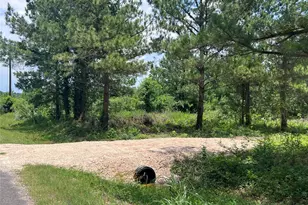 175 County Rd 4873, Dayton, TX 77535 - Photo 1