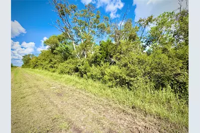 0 County Road 121 Off-Nar, Rosharon, TX 77584 - Photo 4