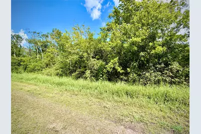 0 County Road 121 Off-Nar, Rosharon, TX 77584 - Photo 6