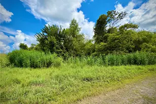 0 County Road 121 Off-Nar, Rosharon, TX 77584 - Photo 1