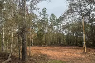 197 Alta Vista Dr, Livingston, TX 77351 - Photo 1