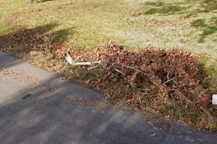 2207 Leffingwell St, Houston, TX 77026 - Photo 2