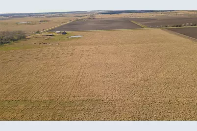 002 Fm 1462 Road, Damon, TX 77430 - Photo 8