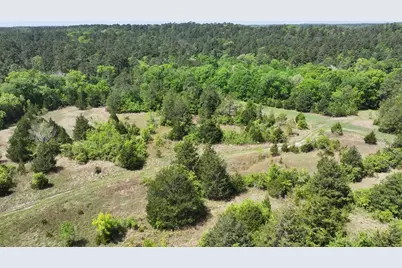 P#4 - Tbd Us-190, Point Blank, TX 77364 - Photo 22