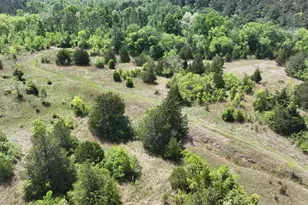 P#4 - Tbd Us-190, Point Blank, TX 77364 - Photo 1