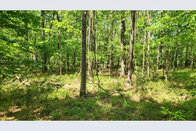 P#4 - Tbd Us-190, Point Blank, TX 77364 - Photo 16