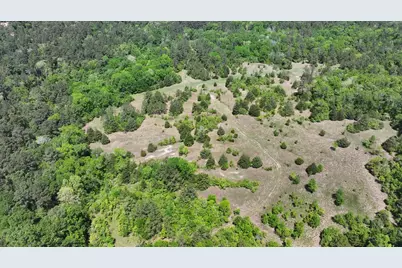 P#4 - Tbd Us-190, Point Blank, TX 77364 - Photo 2