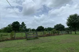 29231 Sheffield Rd Rd, Hockley, TX 77447 - Photo 14