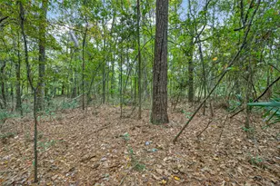 Lot 410 North Woods, Cleveland, TX 77328 - Photo 10