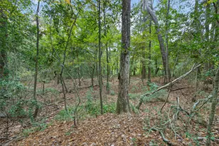 Lot 410 North Woods, Cleveland, TX 77328 - Photo 8