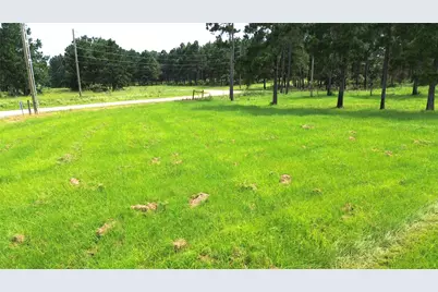 1320 Buckhorn Creek, Crockett, TX 75835 - Photo 20