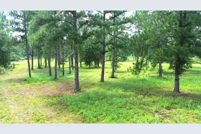 1320 Buckhorn Creek, Crockett, TX 75835 - Photo 10