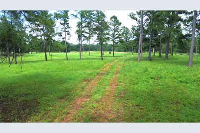 1320 Buckhorn Creek, Crockett, TX 75835 - Photo 12