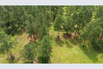 1320 Buckhorn Creek, Crockett, TX 75835 - Photo 16
