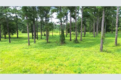 1320 Buckhorn Creek, Crockett, TX 75835 - Photo 14
