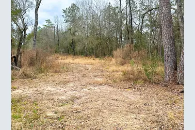 12280 Pelt, Kountze, TX 77625 - Photo 2