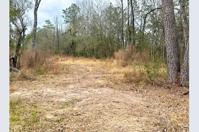 12280 Pelt, Kountze, TX 77625 - Photo 1