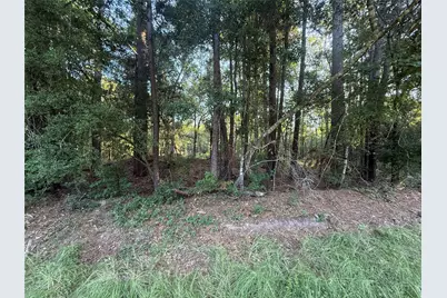 Tbd Charlie Pride Drive, Livingston, TX 77351 - Photo 6