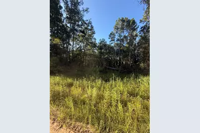 Tbd Charlie Pride Drive, Livingston, TX 77351 - Photo 1