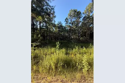 Tbd Charlie Pride Drive, Livingston, TX 77351 - Photo 2