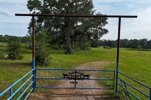 783 Fm 977 E, Leona, TX 75850 - Photo 1