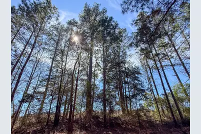 1 Lyons Cemetery Road, Moscow, TX 75960 - Photo 6