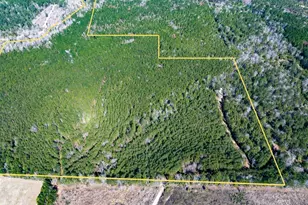 1 Lyons Cemetery Rd, Moscow, TX 75960 - Photo 1