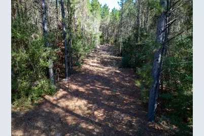 1 Lyons Cemetery Road, Moscow, TX 75960 - Photo 2