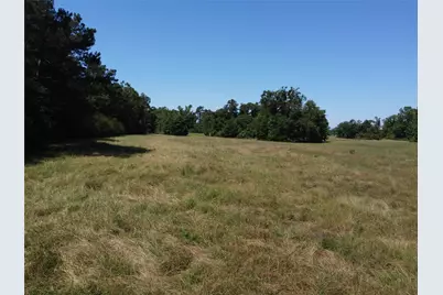 Tbd County Road 295, Garrison, TX 75946 - Photo 8
