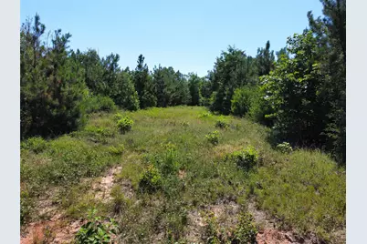 Tbd County Road 295, Garrison, TX 75946 - Photo 2