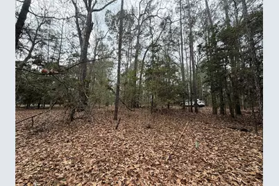 Tbd Deodar Drive, Brookeland, TX 75931 - Photo 6