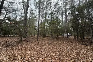 Tbd Deodar Dr, Brookeland, TX 75931 - Photo 6