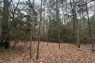 Tbd Deodar Dr, Brookeland, TX 75931 - Photo 4