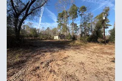 Tbd Deodar Drive, Brookeland, TX 75931 - Photo 1