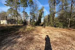 Tbd Deodar Dr, Brookeland, TX 75931 - Photo 2