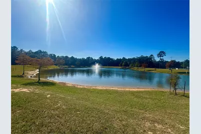 3318 Iron Pine Lane, Conroe, TX 77301 - Photo 34