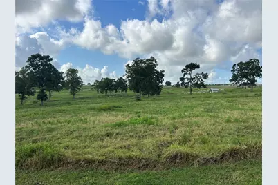 10549 Sunny Meadow Drive, Chappell Hill, TX 77426 - Photo 2