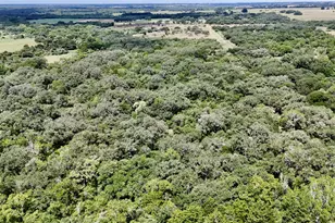 74 Acres County Road 312, Hallettsville, TX 77964 - Photo 28