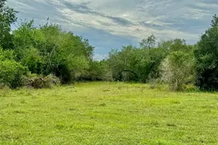 74 Acres County Road 312, Hallettsville, TX 77964 - Photo 20