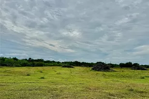 74 Acres County Road 312, Hallettsville, TX 77964 - Photo 14