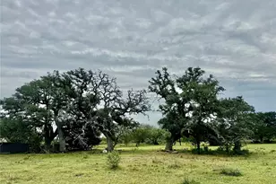 74 Acres County Road 312, Hallettsville, TX 77964 - Photo 10