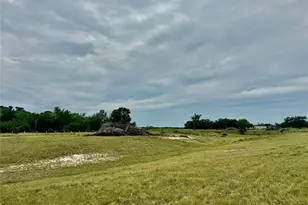 74 Acres County Road 312, Hallettsville, TX 77964 - Photo 8