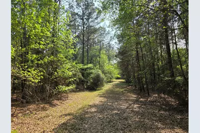 Tbdparcel # 130757 Hwy 190, Point Blank, TX 77364 - Photo 12
