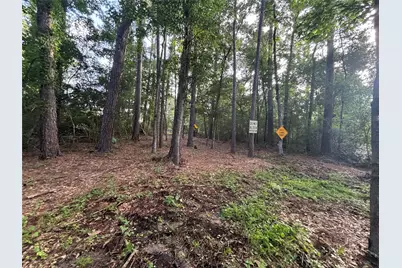 0 Long Drive, Conroe, TX 77302 - Photo 6