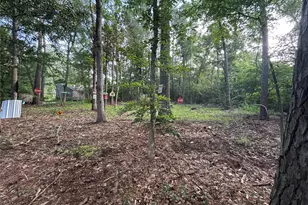 0 Long Dr, Conroe, TX 77302 - Photo 1